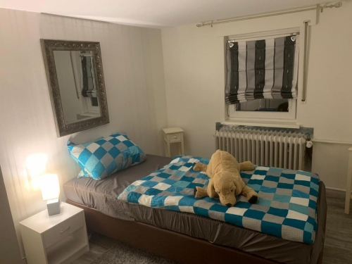 WhatsApp Image 2020-05-11 at 18.42.29 (1)