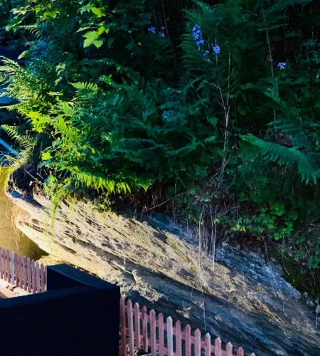 WhatsApp Image 2020-06-12 at 22.16.02 (1)