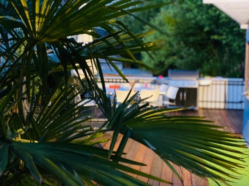 WhatsApp Image 2020-06-12 at 22.16.02 (3)