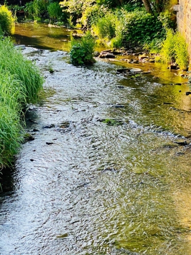 WhatsApp Image 2020-06-13 at 09.28.13 (1)